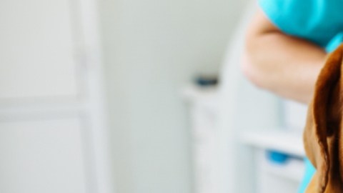 Nuevos detalles sobre la rara enfermedad que está afectando a los perros en EE.UU.
