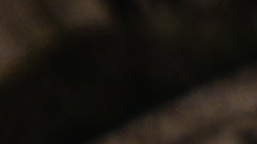 Reembolso de impuesto