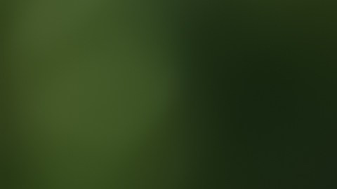 suerte horóscopo chino