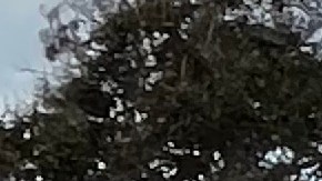 Vendedoras ambulantes piden alto al acoso ejercido por la policía de Huntington Park. (Cortesía LA Street Vendor Campaign)