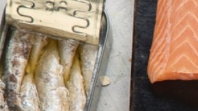 La vitamina B12 es clave en reprogramar células y regenerar tejidos: estudio