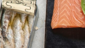 La vitamina B12 es clave en reprogramar células y regenerar tejidos: estudio