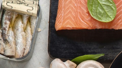 La vitamina B12 es clave en reprogramar células y regenerar tejidos: estudio
