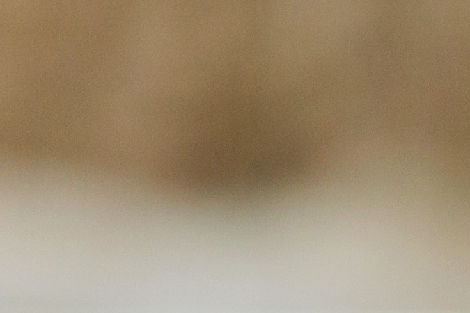 signos del zodiaco y el portal 11/11