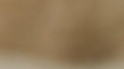 signos del zodiaco y el portal 11/11