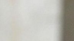 La heredera de L'Oreal, Françoise Bettencourt Meyers, es la decimosegunda persona más rica del mundo.