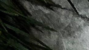 portal 12 de diciembre