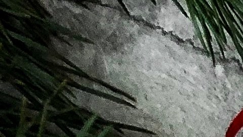 portal 12 de diciembre