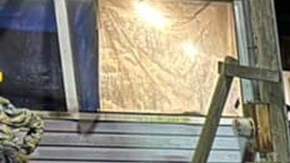 Arrestan por crueldad animal a maestra de Florida que vivía en una casa móvil con más de 300 animales