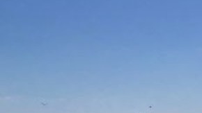 Encuentran el cuerpo de un hombre que desapareció cuando navegaba en kayak en Florida