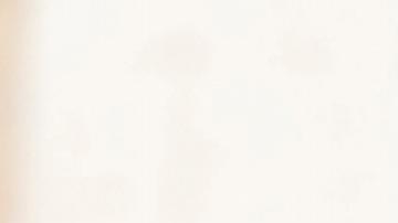 El papa Francisco en el Vaticano.