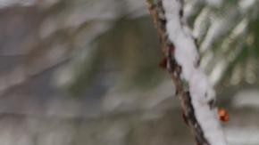 El estudio también da algunos consejos sobre cómo enfrentarse a preguntas curiosas de los niños, especialmente cuando no están preparados para renunciar a sus ideas.