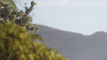 Aston Martin DB Volante