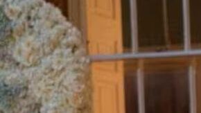 Netflix publicó las primeras imágenes de la tercera temporada de Bridgerton