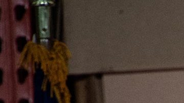 Donald Trump, expresidente