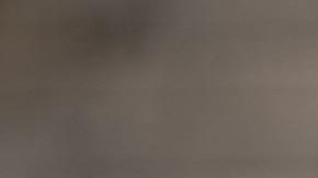 Donald Trump Jr., primogénito del expresidente de la nación