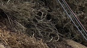 Rescatan a un hombre que quedó atrapado por varios días en la grieta en un acantilado de San Diego