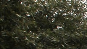 El mercado inmobiliario enfrenta incrementos.