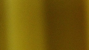 Su último trabajo fue en la serie Bones, con apariciones especiales en varias temporadas.