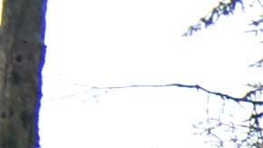 El enfrentamiento ocurrió en Texcaltitlán, población al sur del volcán Nevado de Toluca, Estado de México.