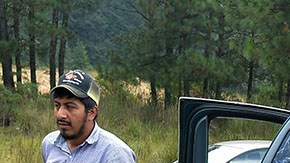 Violencia en México