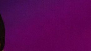 Líder afroamericana de Illinois llama "salvajes y violadores” a inmigrantes y desata vendaval de críticas