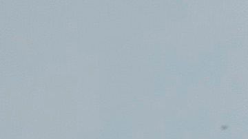 Ataques en 2 ciudades de Texas dejan 6 muertos y 2 oficiales heridos