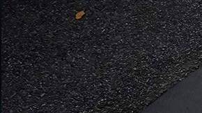 El trágico suceso ocurrió el 8 de diciembre de 1980 frente a su residencia en Nueva York.