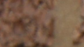 Acusan a una pareja de Carolina del Sur de matar a cuatro miembros de su familia