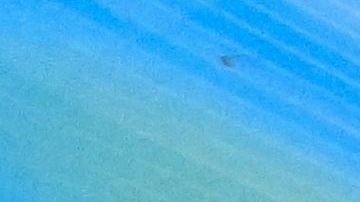 Sanni Hakala de Finlandia conduciendo una jugada contra el seleccionado estadounidense.