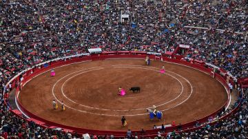 ¿Prohibir o no censurar? México no sabe qué hacer con las corridas de toros en 2024
