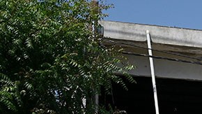 Violencia en México