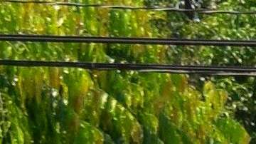 Las mujeres son ya la mitad de los migrantes del mundo