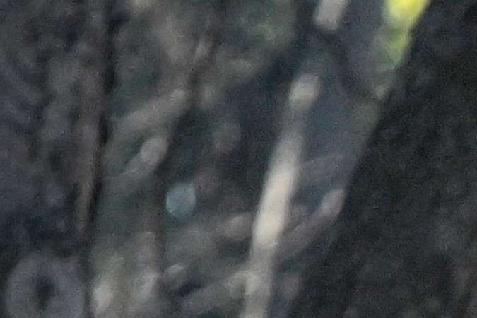 Romanian police forces secure the area around the Russian Embassy to Romania in Bucharest on April 6, 2022. - A man died on April 5, 2022 morning after he rammed his car into the gates of the Russian embassy in Romania and then set himself on fire inside the vehicle, according to the police. Romanian media said the driver headed an NGO for fathers' rights and was on Tuesday sentenced to 15 years in prison for molesting his underage daughter. (Photo by Daniel MIHAILESCU / AFP) (Photo by DANIEL MIHAILESCU/AFP via Getty Images)