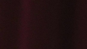 El gobernador Greg Abbott firmó la ley SB4.