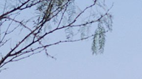 México reinicia trabajos para recuperar los cuerpos de 10 mineros que quedaron sepultados en mina de Coahuila