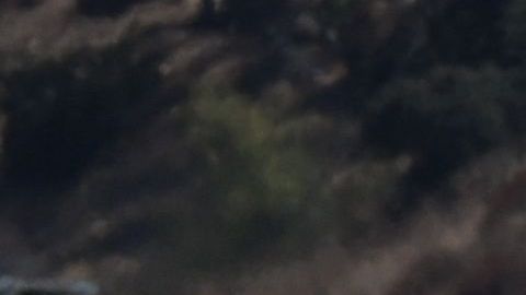 Adolescente que conducía en sentido contrario mató a 6 personas, incluidos 2 niños, en Texas