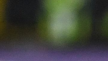 TOPSHOT - Brazil's Vitor Roque takes a selfie picture with the trophy after winning the South American U-20 football championship after defeating Uruguay 2-0 in their final round match, at El Campin stadium in Bogota, on February 12, 2023. (Photo by DANIEL MUNOZ / AFP) (Photo by DANIEL MUNOZ/AFP via Getty Images)
