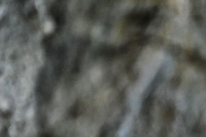 Hombre de Wisconsin es sentenciado a un año de prisión por crueldad animal