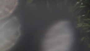 Tres muertos y un herida tras tiroteo en un edificio de apartamentos en Atlanta