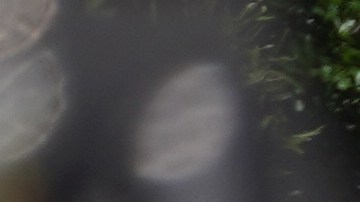 Tres muertos y un herida tras tiroteo en un edificio de apartamentos en Atlanta