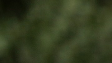 Estudiante baleado en Vermont en supuesto crimen de odio podría no volver a caminar debido a heridas