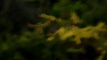 LOS ANGELES, CALIFORNIA - APRIL 22: Vehicles make their way down the aging 110 freeway toward downtown L.A. during the morning commute on April 22, 2021 in Los Angeles, California. President Joe Biden pledged to cut U.S. greenhouse gas emissions in half by 2030 at the Earth Day climate summit. (Photo by Mario Tama/Getty Images)