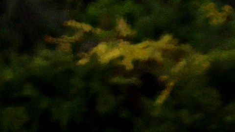 LOS ANGELES, CALIFORNIA - APRIL 22: Vehicles make their way down the aging 110 freeway toward downtown L.A. during the morning commute on April 22, 2021 in Los Angeles, California. President Joe Biden pledged to cut U.S. greenhouse gas emissions in half by 2030 at the Earth Day climate summit. (Photo by Mario Tama/Getty Images)