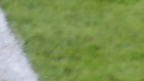 La Copa América se disputará en Estados Unidos entre equipos de todo el continente.