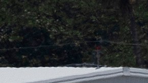 Adolescente que viajaba solo desde Tampa tomó accidentalmente un vuelo a Puerto Rico