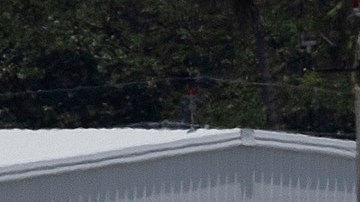 Adolescente que viajaba solo desde Tampa tomó accidentalmente un vuelo a Puerto Rico