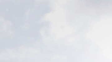 En junio del 2022, la Corte Suprema de EE.UU. canceló Roe v. Wade.