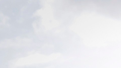 En junio del 2022, la Corte Suprema de EE.UU. canceló Roe v. Wade.