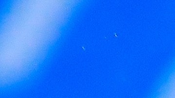 Cristian Calderón podría llegar a su cuarto equipo de la Liga MX.